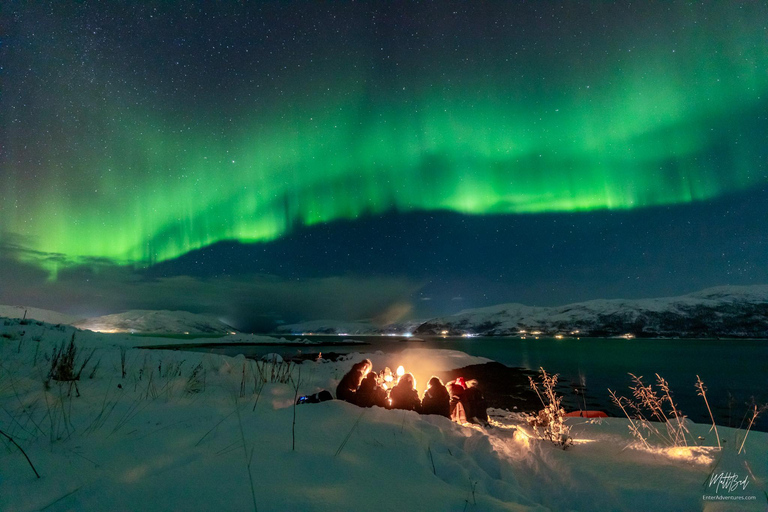 Desde Tromsø: Persecución de auroras boreales con fotos y cena