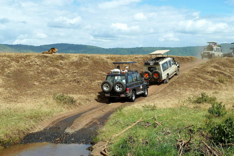 Safaris en camping de 4 jours au Ngorongoro et au Serengeti Np4 jours de safaris en camping au Ngorongoro et au Serengeti Np