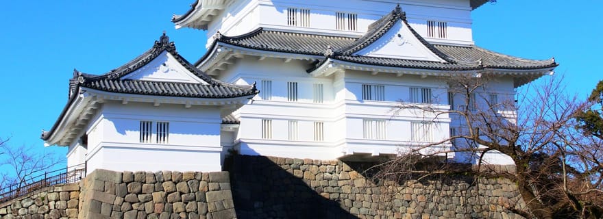 Odawara : visite guidée du château avec vues panoramiques