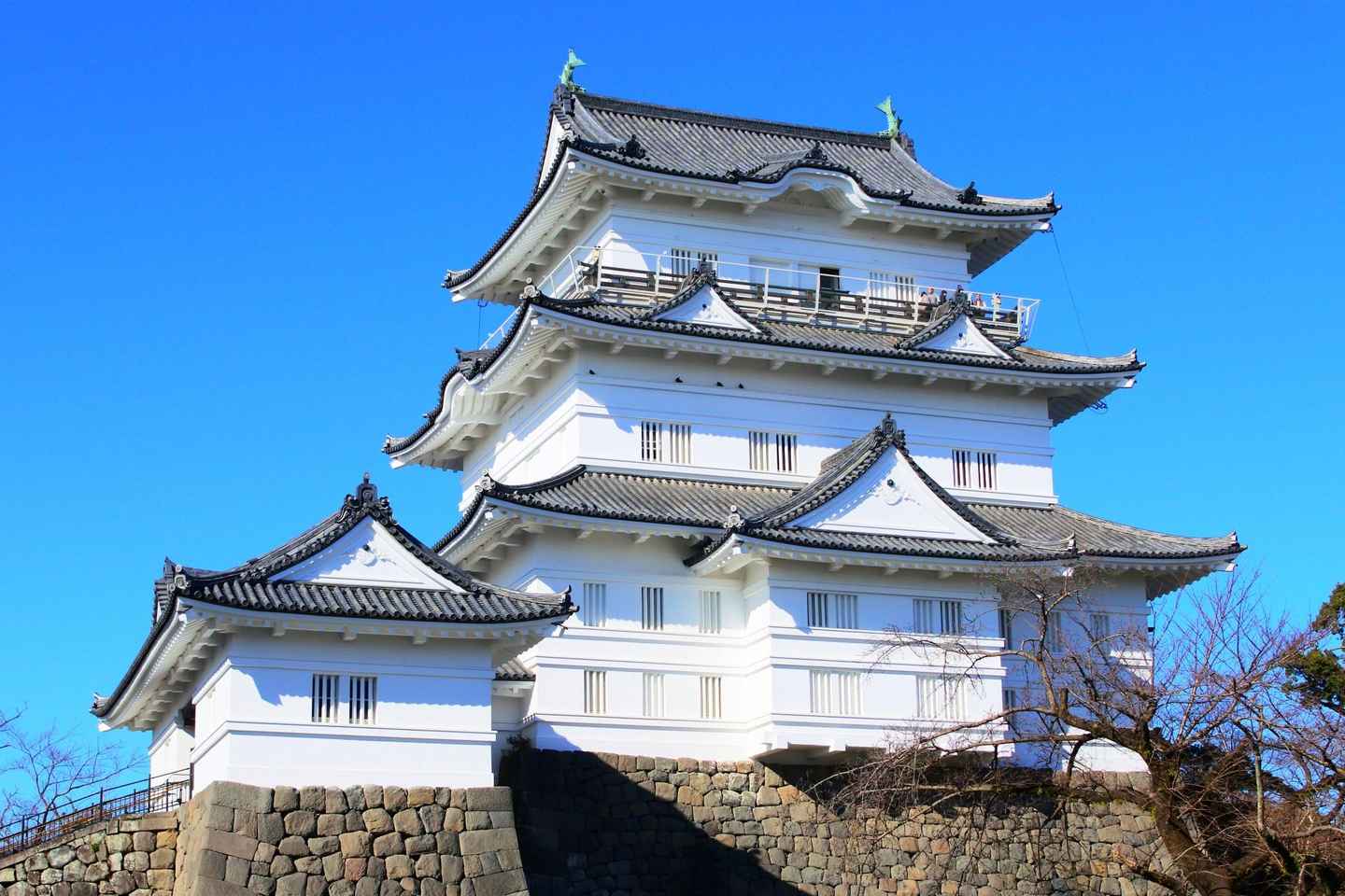 Odawara: Castle Guided Tour with Panoramic Views
