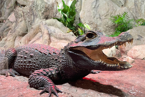 Gadoland Exotic Animals Exhibition Entry Ticket
