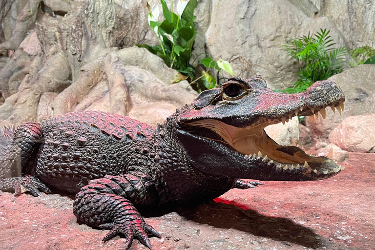 Gadoland Exotic Animals Exhibition Entry Ticket