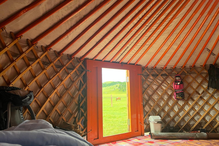 Nomad Family Home Stay in Arkhangai Province