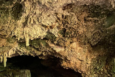 Tour dei delfini e nuoto con le tartarughe marine e grotta di Kuza