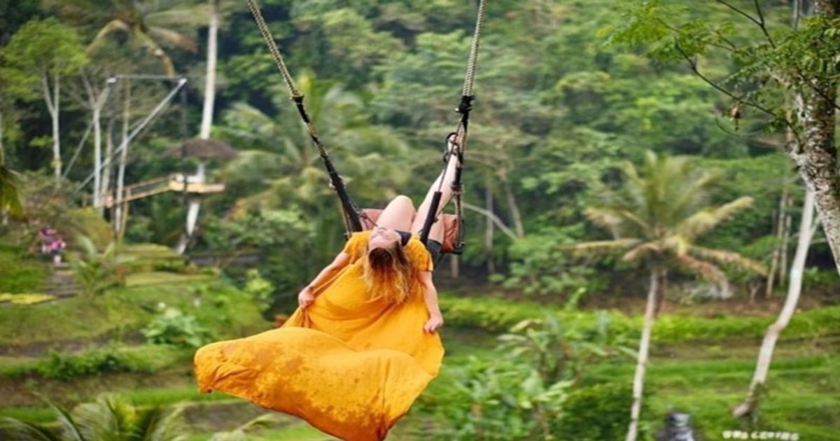 Bali : Forêt des singes, rizières et balançoire visite privée ...