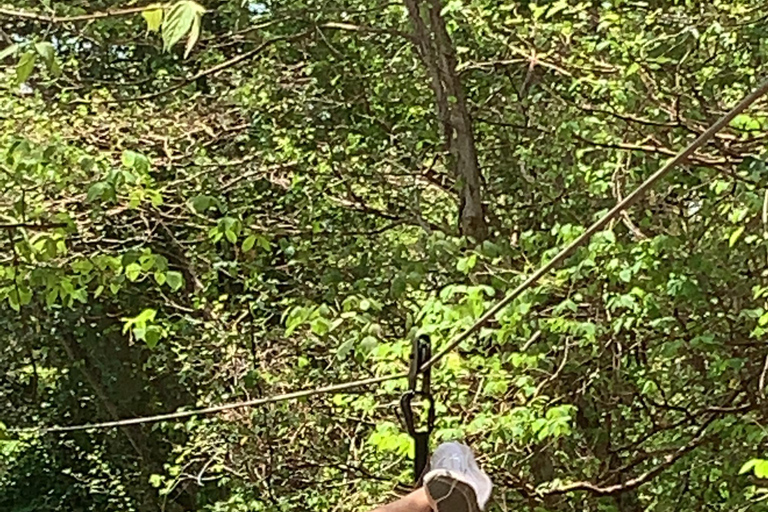 Tamarindo: Tirolesa na selva costarriquenhaTirolesa na selva costarriquenha