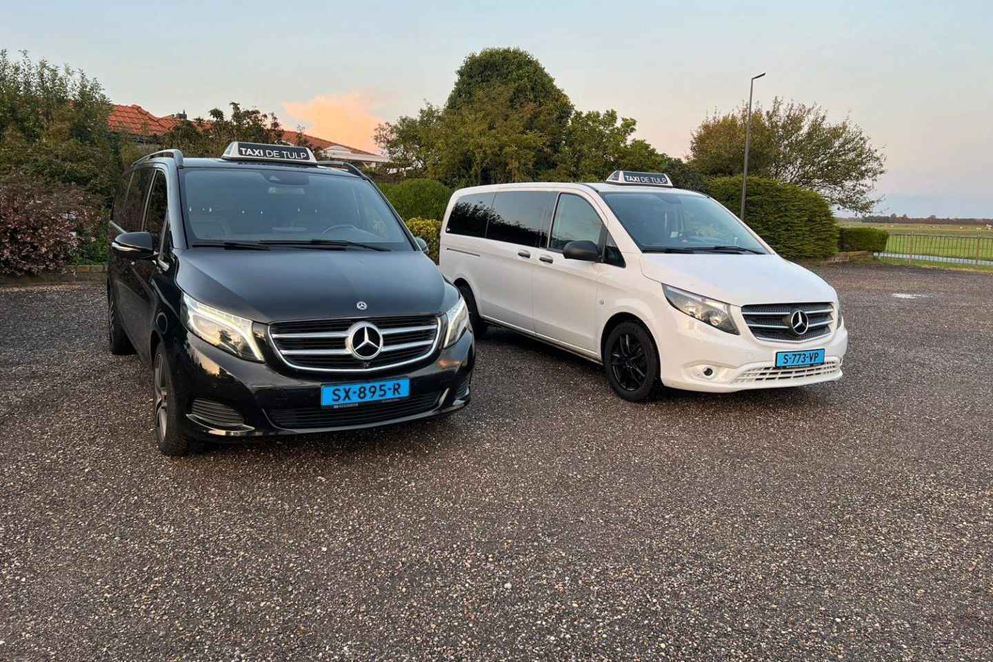 Amsterdam: Sérstök Premium Flutningur til Schiphol Flugvallar