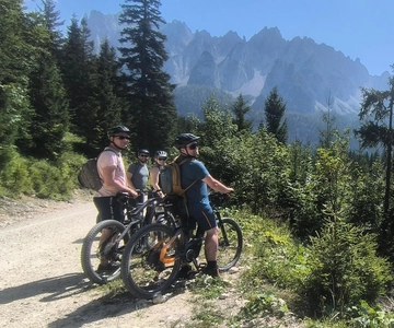 Salzkammergut: Guided e-bike tour to the alpine pastures in Gosau and Hallstatt