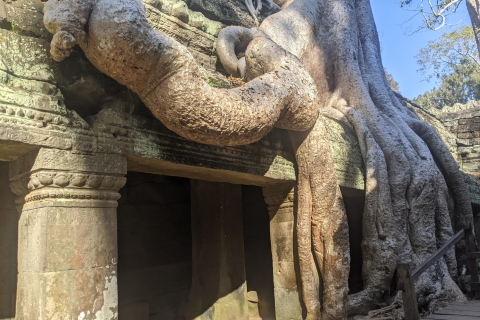Siem Reap : Visite privée d'Angkor au lever du soleilSiem Reap : Visite privée d'Angkor au lever du soleil et prise en charge à l'hôtel