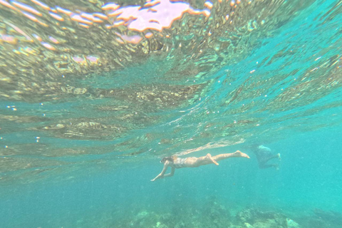 Diani Beach: Kisite Marine Park & Wasini Island Day Trip