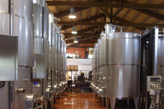 Antica Masseria Venditti: guided visit to the winery with wine tasting