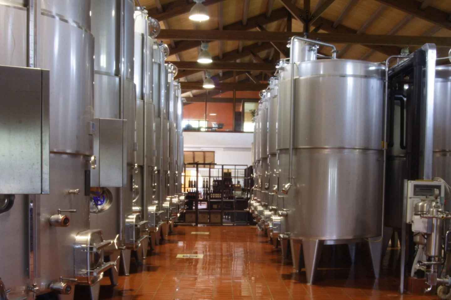 Antica Masseria Venditti: visita guidata alla cantina con degustazione vini