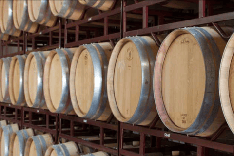 Illes Balears: Bodegas Bordoy Wine Tour with Lunch