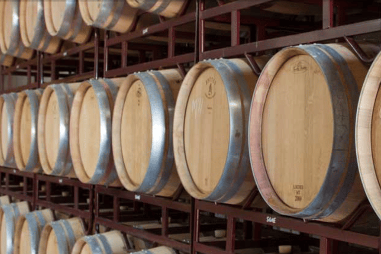 Illes Balears: Bodegas Bordoy Wine Tour with Lunch