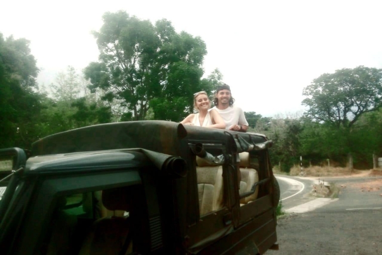 Desde Negombo Sigiriya / Dambulla y Parque Nacional de Minneriya