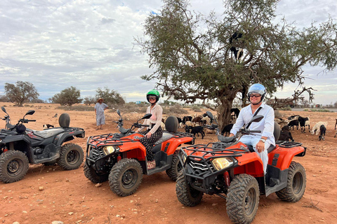 Quad et chèvres sur l&#039;arganier et thé avec Nomade