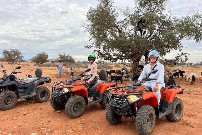 Passeio de quadriciclo e cabras na árvore de argão e chá com Nomade