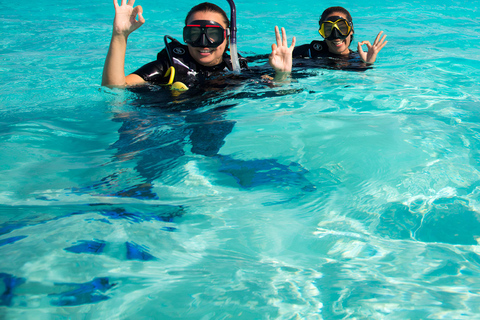 Zanzibar: tour dei delfini, snorkeling e gita ai banchi di sabbia