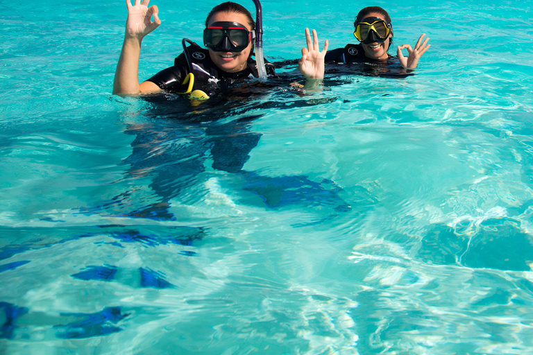 Zanzibar: Dolfijnentour, snorkelen en zandbanktrip