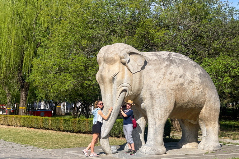 Peking: Mutianyu Great Wall PEK Flughafen Layover TourMutianyu Great Wall+Forbidden City&amp;Square Mit Guide&amp;Mittagessen