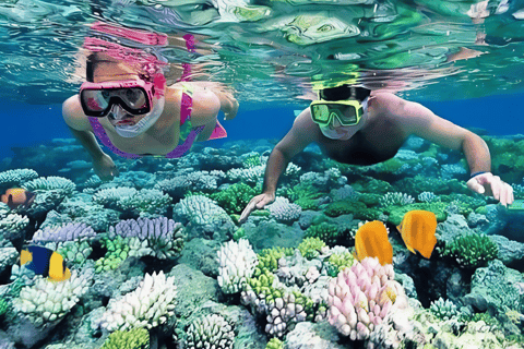 Visita às ilhas Cham e mergulho com snorkel e autônomoExcursão em grupo