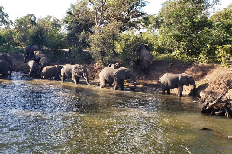 SAFARI EN VOITURE ET PROMENADE À LA RENCONTRE DES RHINOCÉROS