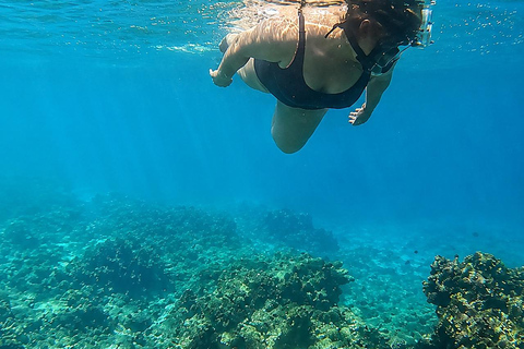 Cartagena: Rosario Islands Boat Tour & Plankton Night Swim Day tour: back at the marina around 5 p.m.