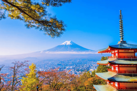 From Tokyo: Mount Fuji Private Tour With English Guide Mount Fuji & Hakone Tour