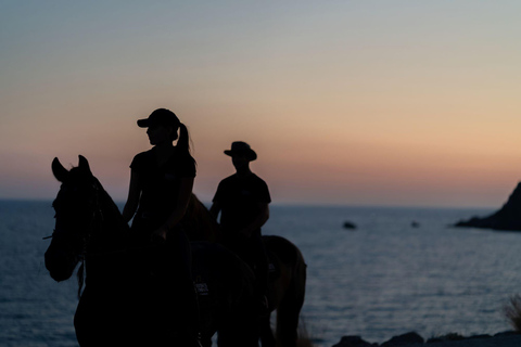 Creta a Caballo: Hipnotizante paseo al atardecerCreta a Caballo: Hipnotizante viaje al atardecer