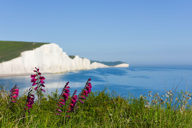 Da Londra: tour di un giorno delle Sette Sorelle e di Brighton