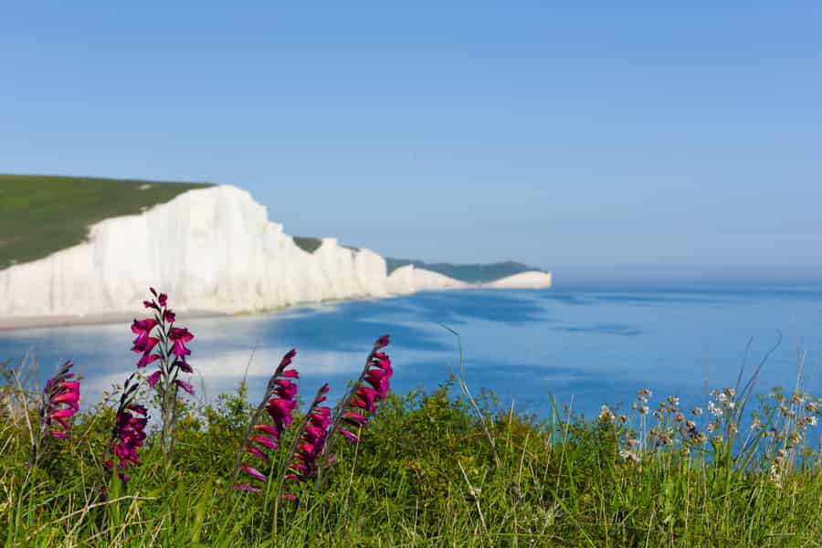 Ab London: Ganztagestour zu den Seven Sisters und nach Brighton. Foto: GetYourGuide