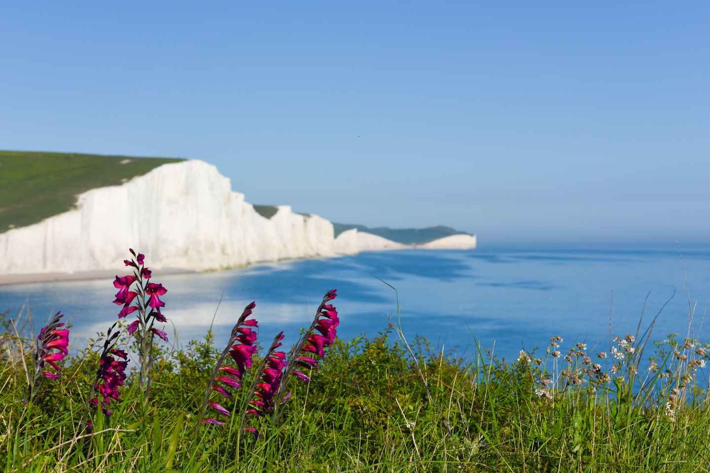 From London: Seven Sisters and Brighton Full-Day Tour - From London: Seven Sisters and Brighton Full-Day Tour