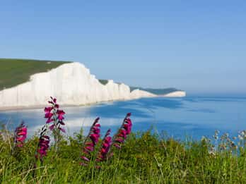 Z Londynu: całodniowa wycieczka do Seven Sisters i Brighton