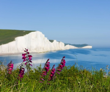 Vanuit Londen: Seven Sisters en Brighton dagvullende tour