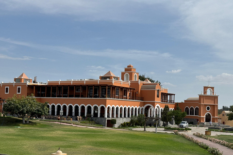 Paracas e Huacachina: Ilhas, Dune Buggy e Piquenique ao Pôr do SolParacas e Huacachina: Ilhas, Buggy nas Dunas e Piquenique ao Pôr do Sol