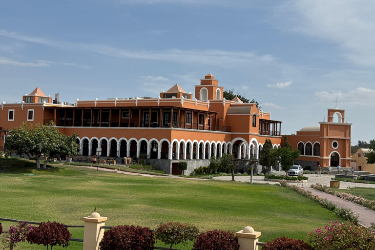 Paracas e Huacachina: Ilhas, Dune Buggy e Piquenique ao Pôr do SolParacas e Huacachina: Ilhas, Buggy nas Dunas e Piquenique ao Pôr do Sol