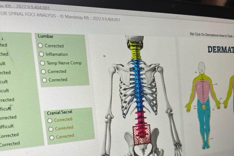 Sesión privada de Biofeedback en Mallorca - en persona y a distancia1 Hr: Sesión privada de Biofeedback - en persona y a distancia