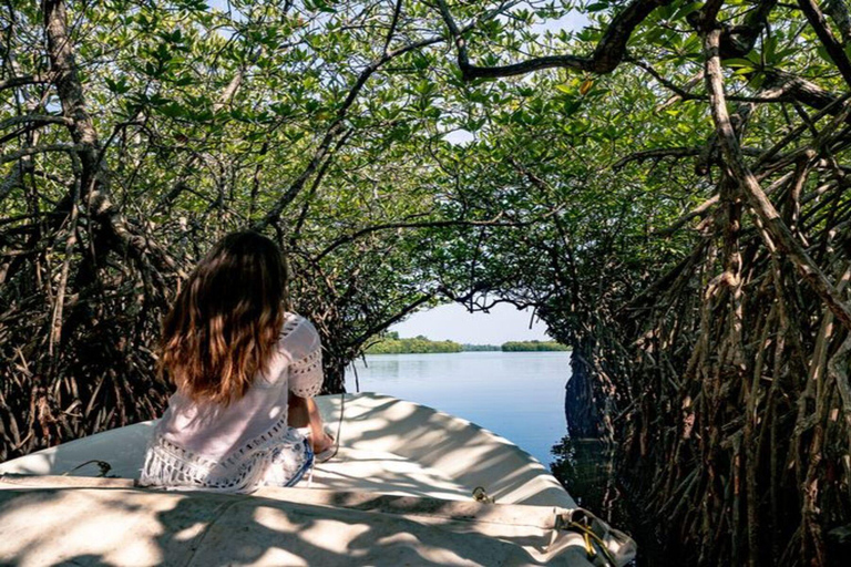 Colombo: Fuerte de Galle, Río Madu y Tortugas Tour privado de un día