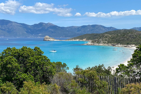 Wycieczka 4x4 Agriates na pustynię i plażę z Calvi