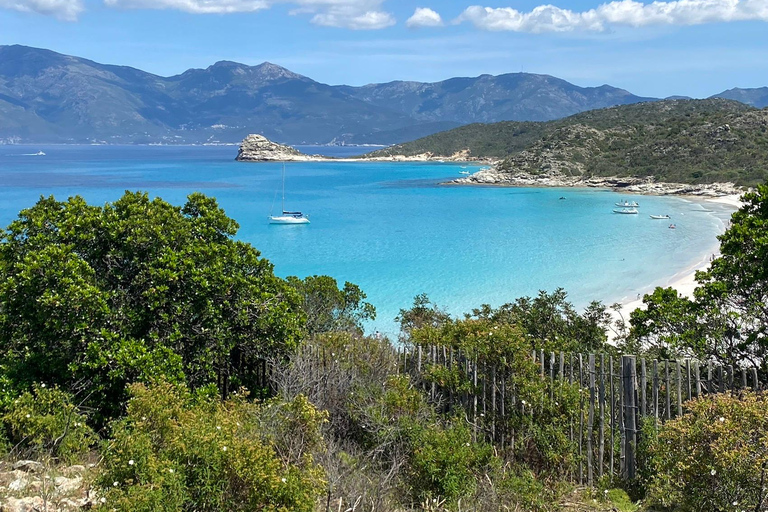 4x4 Agriates Desert and Beach Excursion from Calvi