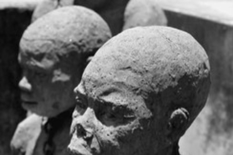 زنجبار: مدينة ستون، جزيرة السجن ومزرعة التوابل مع الغداءجولة خاصة بدون خدمة الاستقبال والتوصيل من 