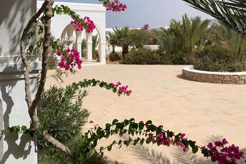 Djerba: Island Tour Snack, Synagogue, Souk, and Sunset