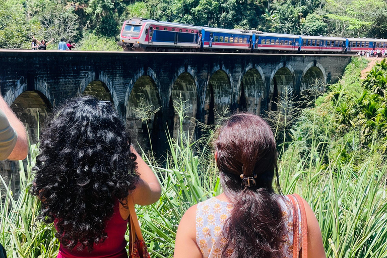 Sri Lanka: 7-Day Sri Lanka Tour with Hotels + entry tickets Sri Lanka: 7-Day Sri Lanka Tour with luxury Hotels