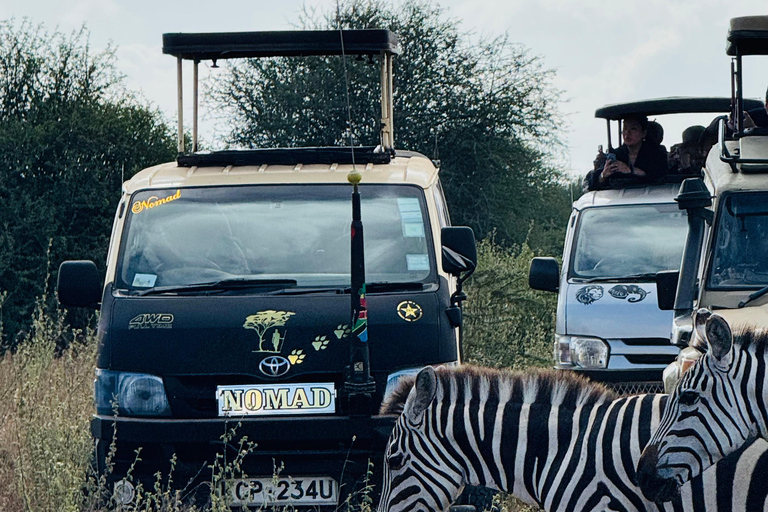 Nairobi Park Safari, Sheldrick's Orphanage & Giraffe Center Shared Drive in Open-Roof Van Game Drive