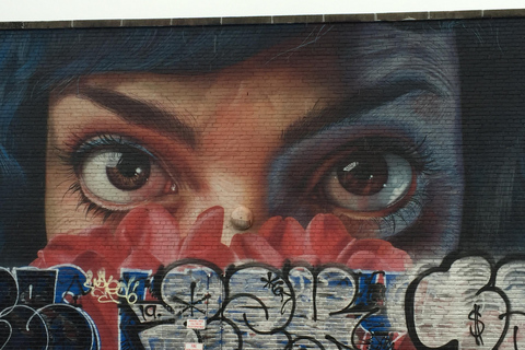 NYC: Bronx, Queens, and Brooklyn Guided Tour by Coach Triboro Tour in Italian