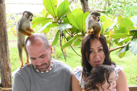 Puerto Plata: Monkey home, Damajagua Waterfalls & City Tour