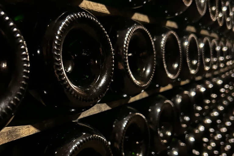 From the vines to the Champagne glass with a vintage car The heart of the Champagne region