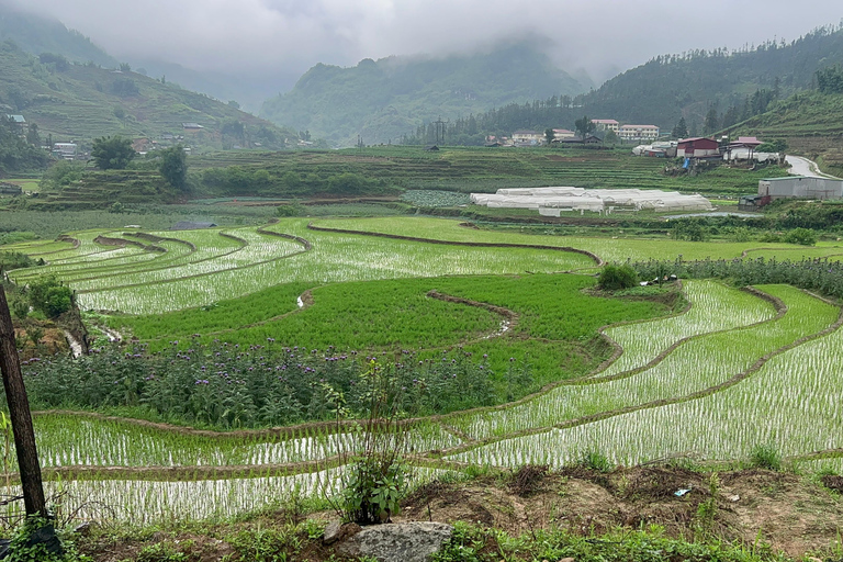 2-Day Sapa City Tour & Discover Fansipan Mountain From Hanoi