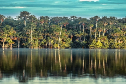 Jungle Tambopata 2D |Monkey Island + Search for alligators|