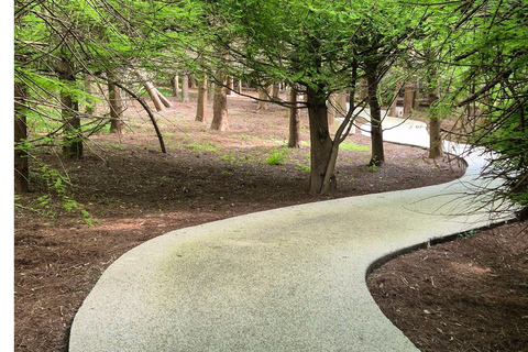Batumi: Dendrological Park, Mini Georgia & Musician park